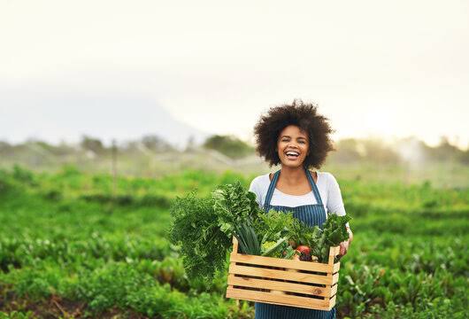 Agriculture Sustainability Is a Business Strategy, Not Just a Slogan